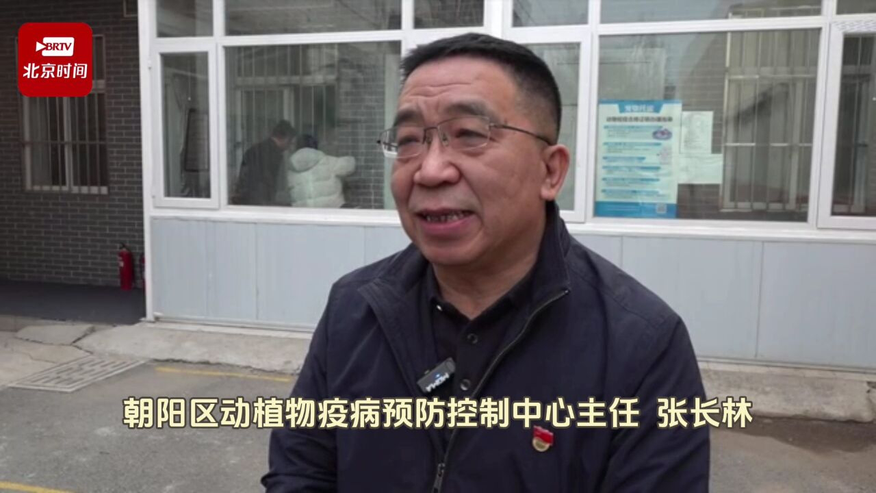 thumbplayer poster plugin image