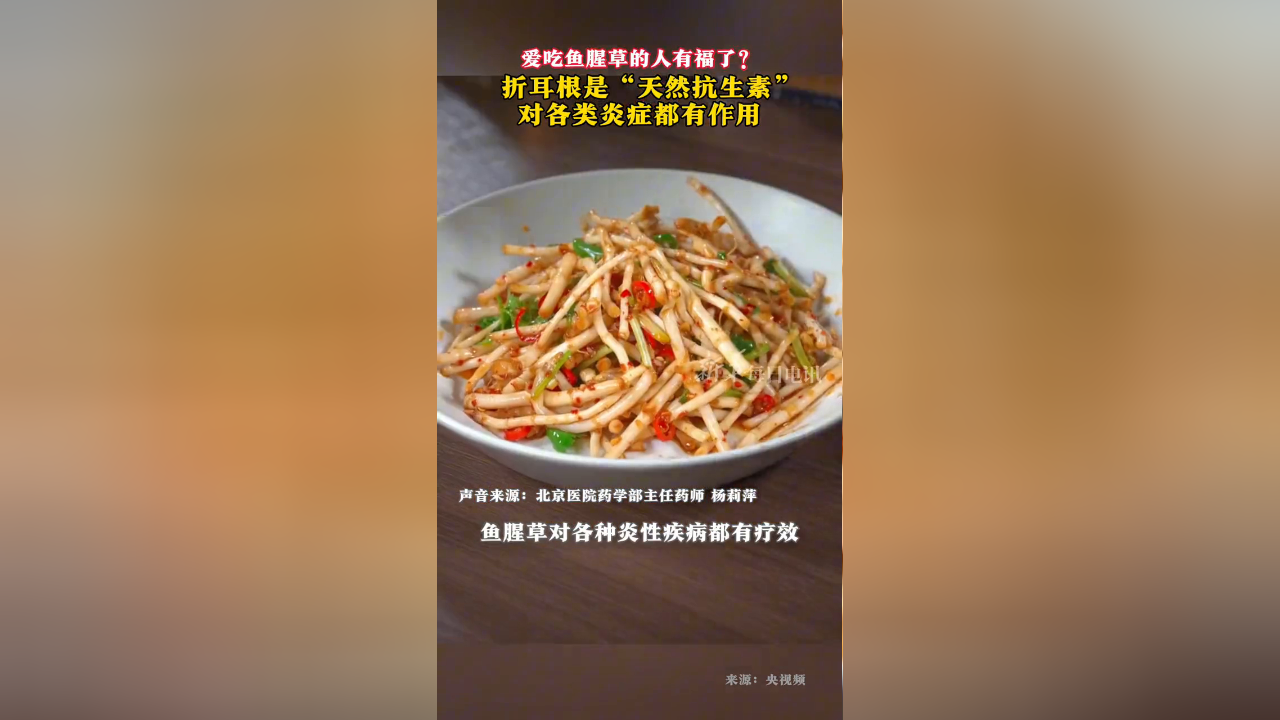 鱼腥草吃法大忌_鱼腥草的吃法_吃鱼腥草的吃法