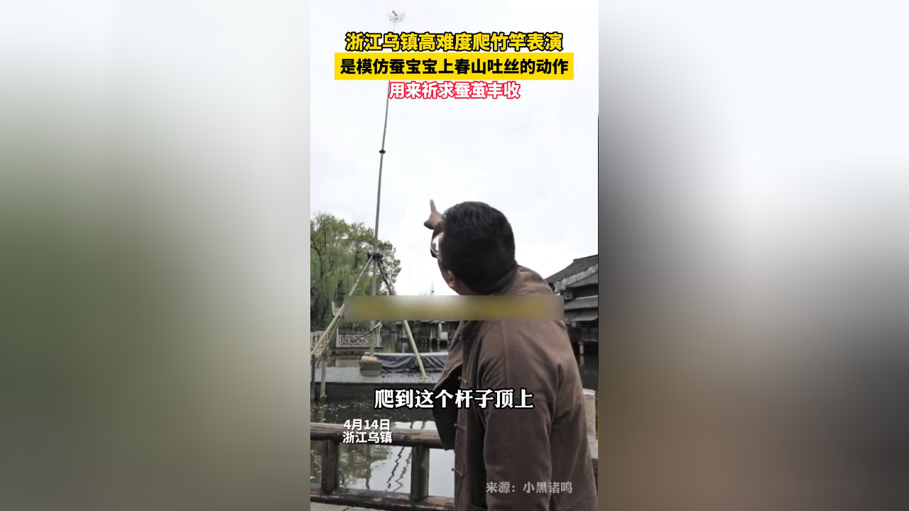 浙江乌镇的爬竹竿表演你见过吗?灵感竟来自蚕宝宝上春山
