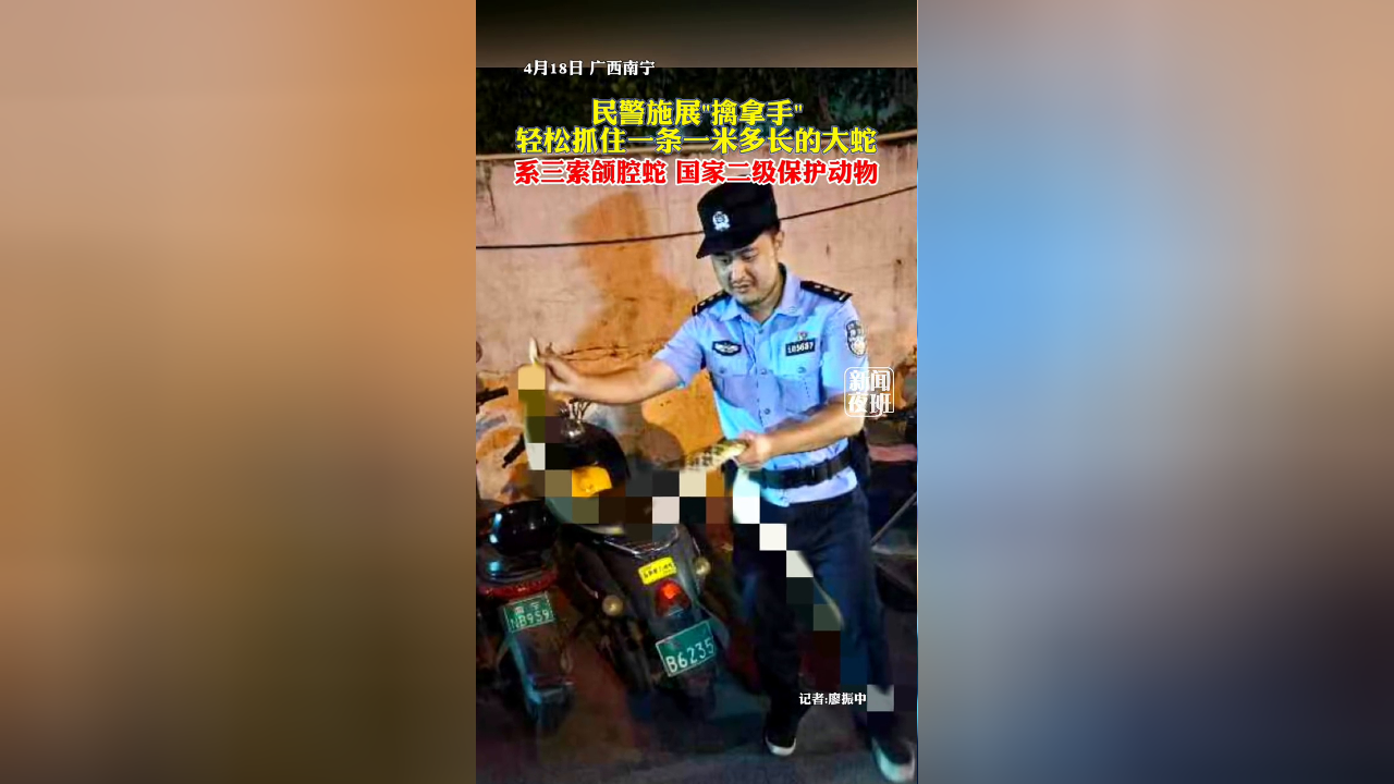 民警施展"擒拿手",轻松抓住一条一米多长的大蛇