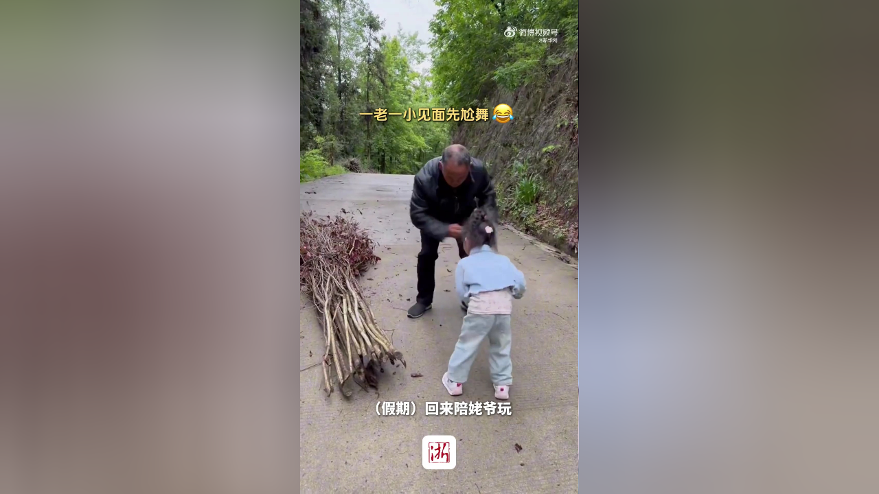 姥爷出门拾柴,3岁外孙女来迎接(来源:新华网)
