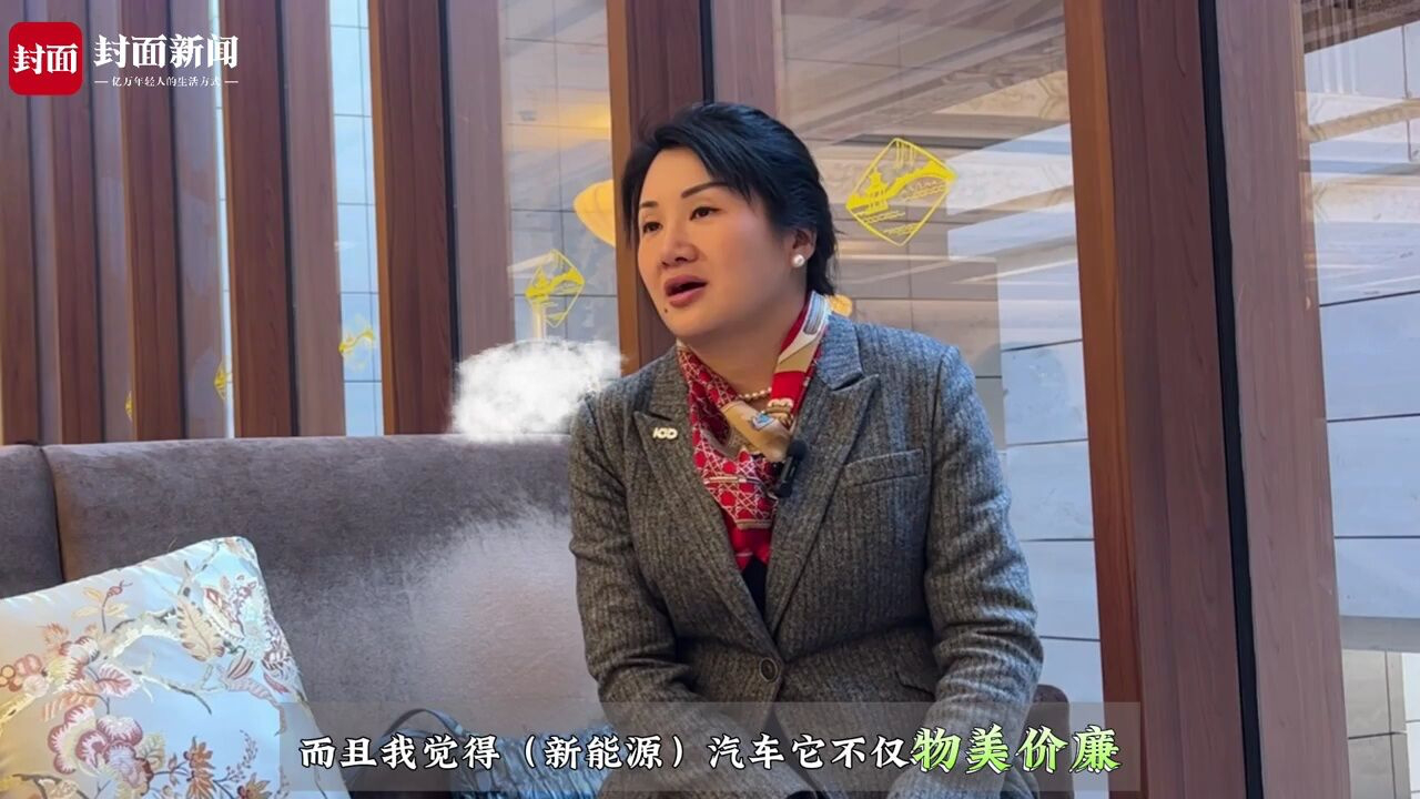 张真:新能源汽车"内卷"是行业竞争充分的体现