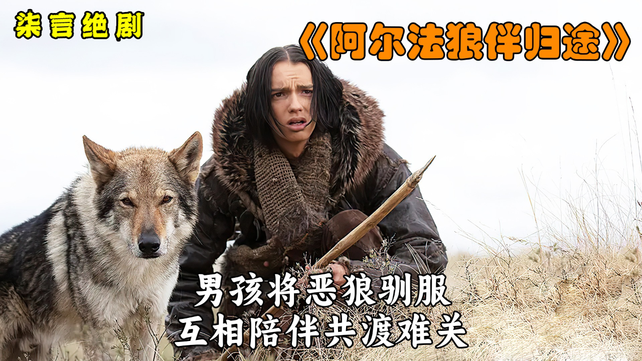 男孩将恶狼驯服,互相陪伴共渡难关!——《阿尔法-狼伴归途》