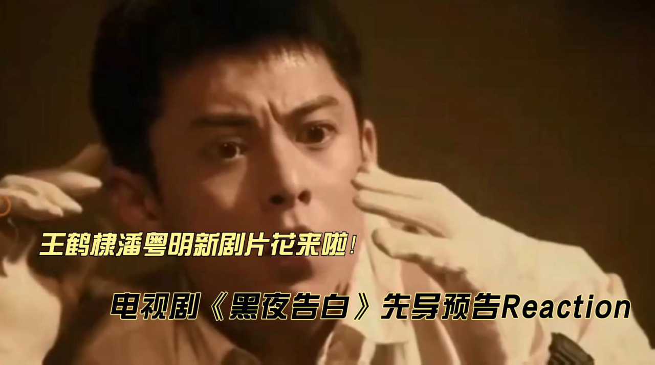 王鹤棣潘粤明电视剧《黑夜告白》先导预告reaction