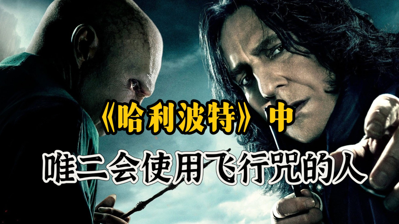 在整个魔法世界,只有伏地魔和斯内普会飞行咒吗?