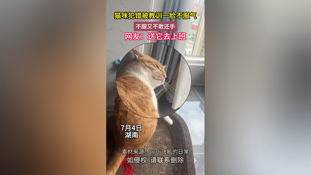 光脚踩死小猫图片