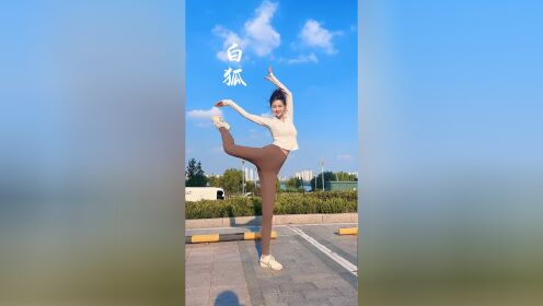 再给你们跳只白狐