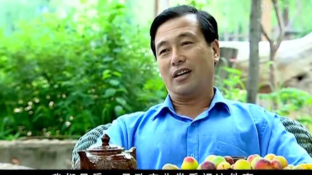 柳树屯 24集