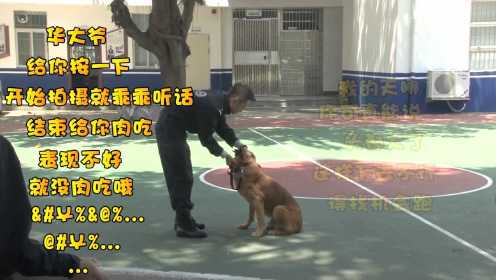 《警犬来啦》独家花絮：“华大爷”当前 梁粤秒变小弟