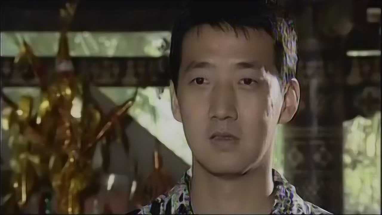 为了这一片净土 3集
