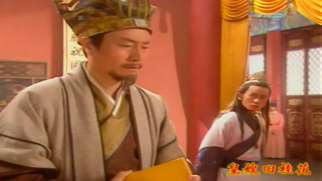 皇嫂田桂花 18集