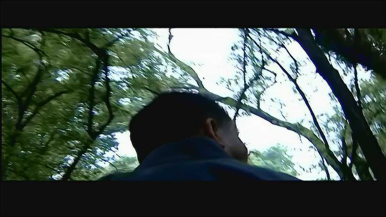 浴血坚持 20集