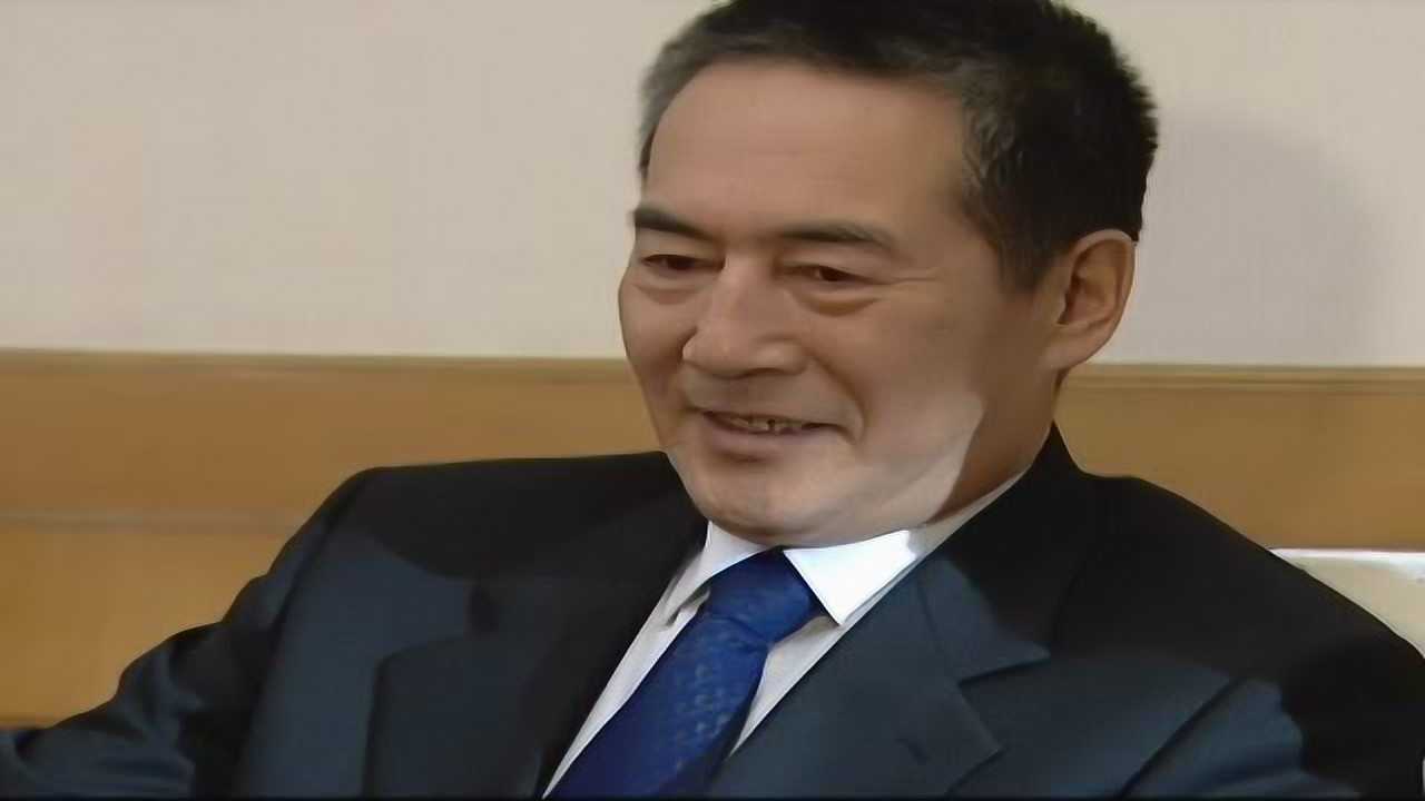 省委书记 11集