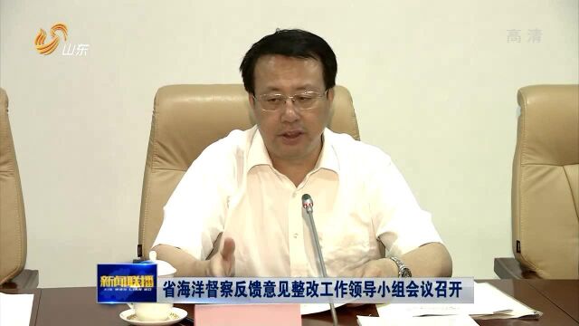 山东省海洋督察反馈意见整改工作领导小组会议召开