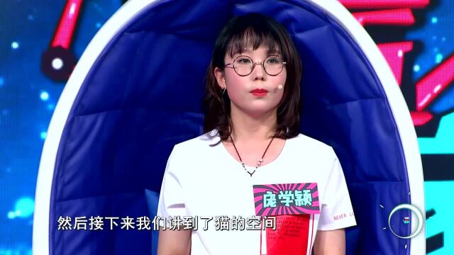 人猫和谐共存的阳台实景 改造完成就是效果图里的样子