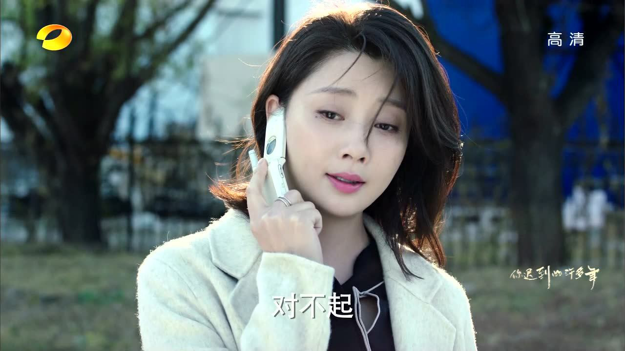 你迟到的许多年 44集