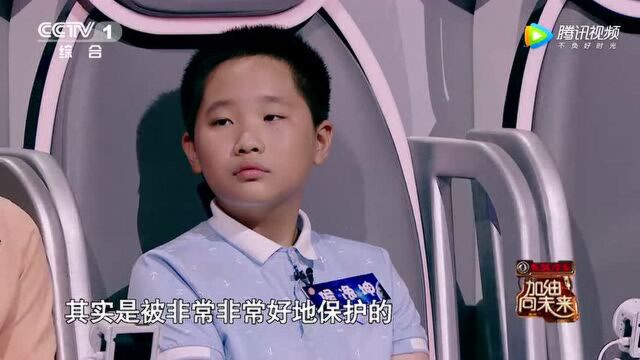 对于打火机你了解多少?快来看看