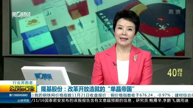 隆基股份:改革开放造就的“单晶帝国”