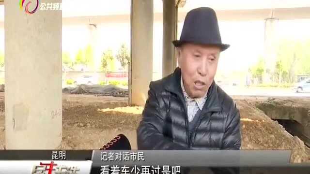 网友建议虹桥立交底层设置人行天桥