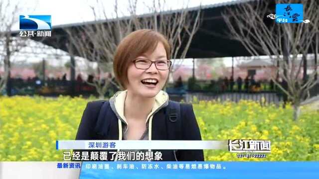 枝江:产业融合让美丽经济绽放新“花样”