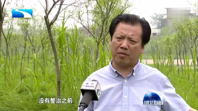 长江大保护十大标志性战役 咸宁:从问题着手 建美丽生态