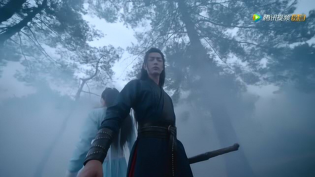 魏无羡蓝忘机配合灭枭鸟问就是完美默契！_高清1080P在线观看平台_腾讯视频