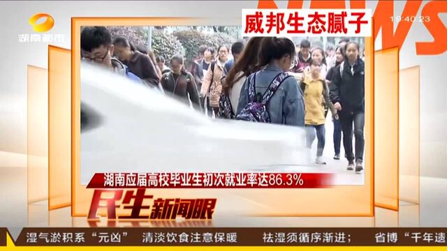 湖南应届高校毕业生初次就业率达86.3%