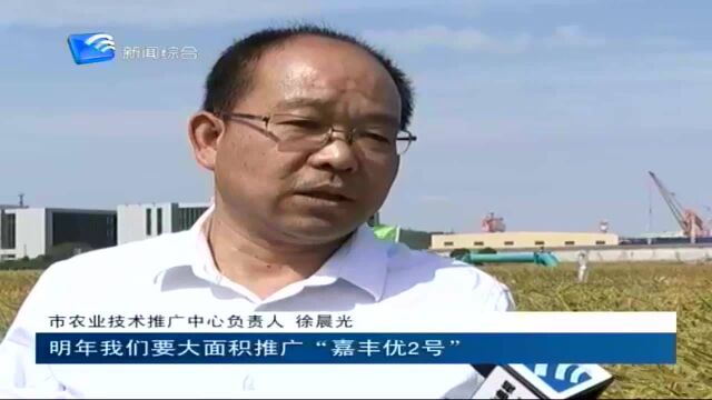 我市推广“嘉丰优2号”杂交稻种植 促农民增收