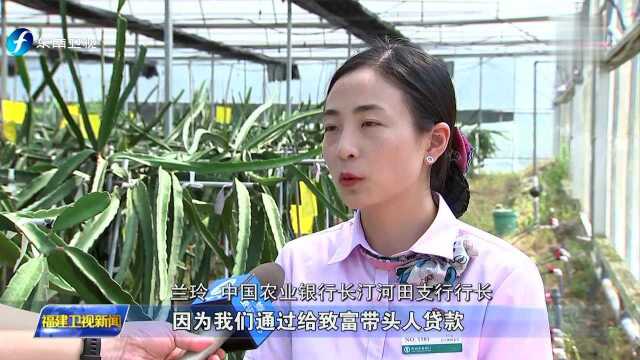 坚持高质量发展落实赶超 福建农行:饮水思源 助力老区苏区乡村振兴