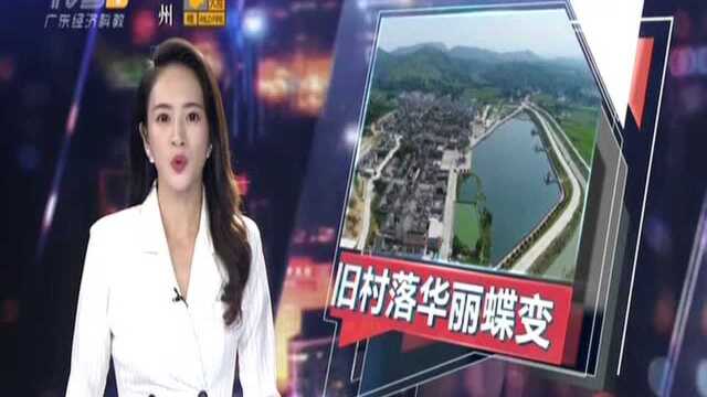 揭阳揭西县:对口扶贫 旧村落成网红“打卡点”