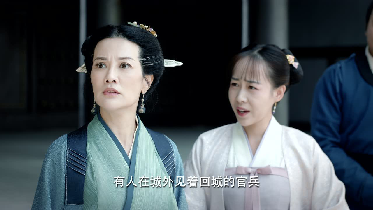 浮世双娇传 13集