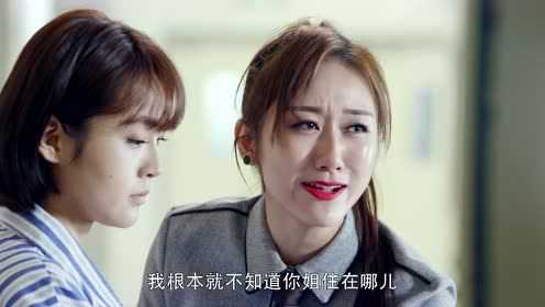 亲爱的设计师 26集