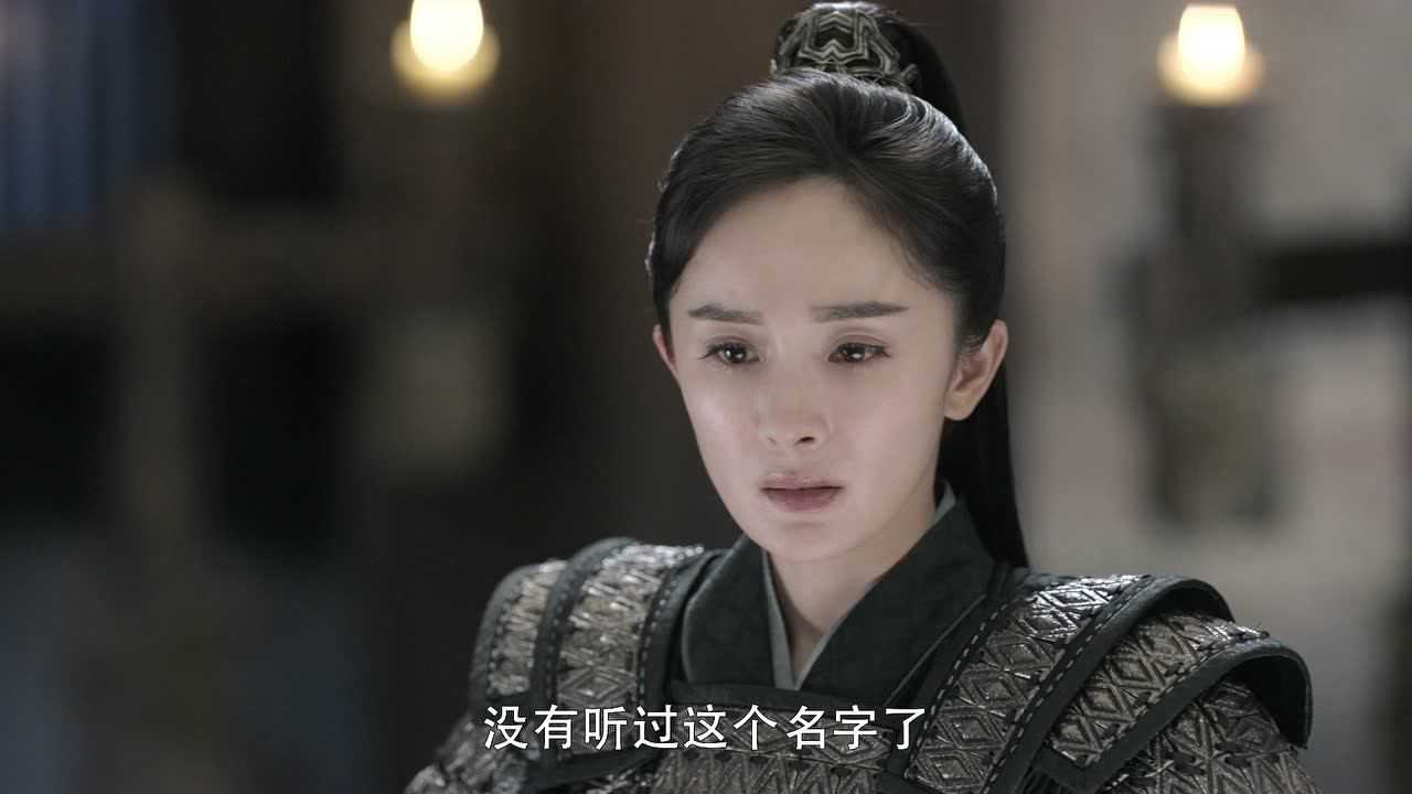 斛珠夫人 14集