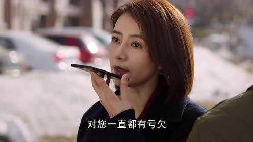 完美伴侣[DVD版] 24集
