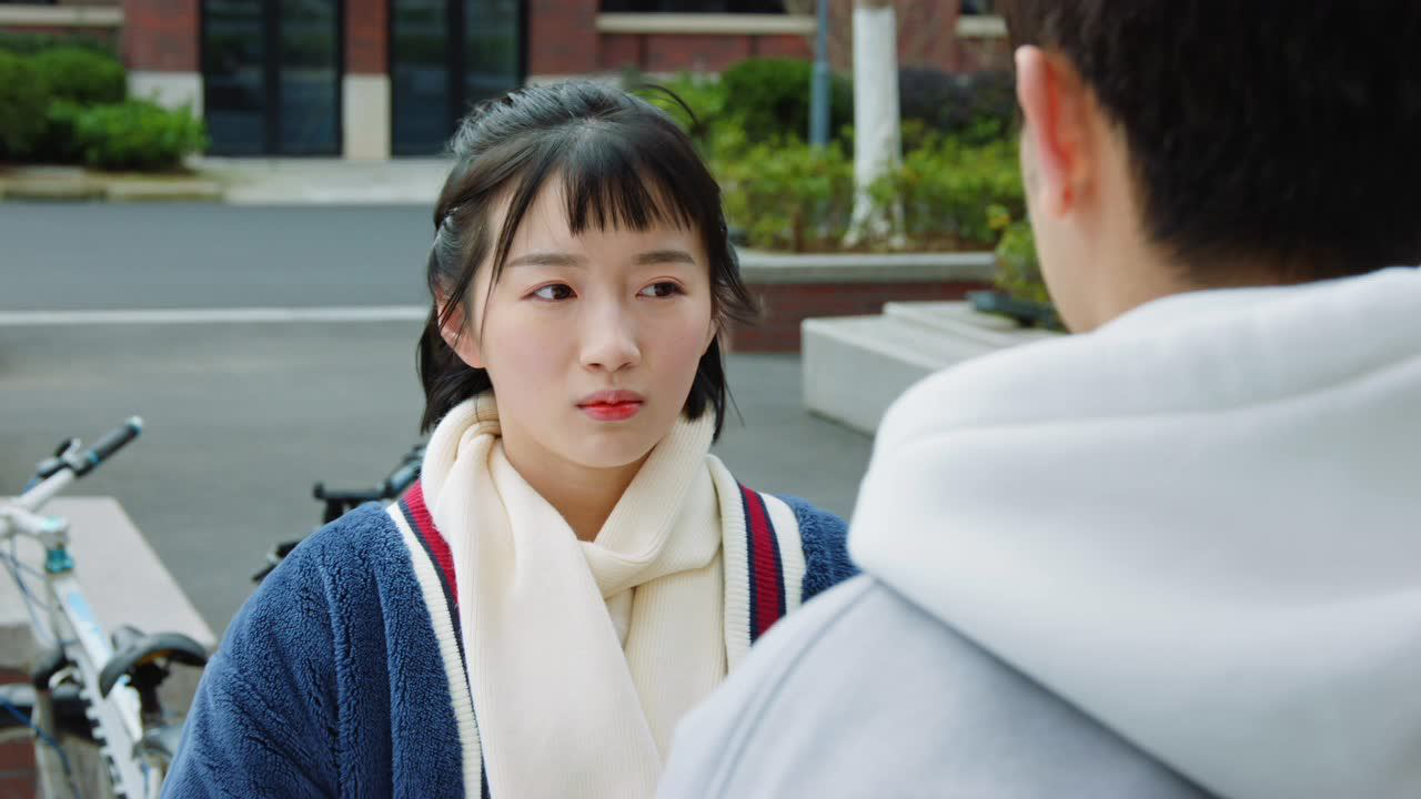 陪你逐风飞翔[DVD版] 19集