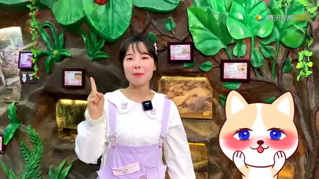 萌萌玩具故事 34集