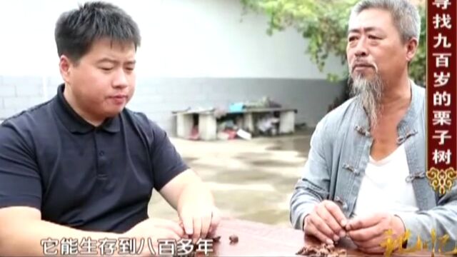 来自大自然的美味