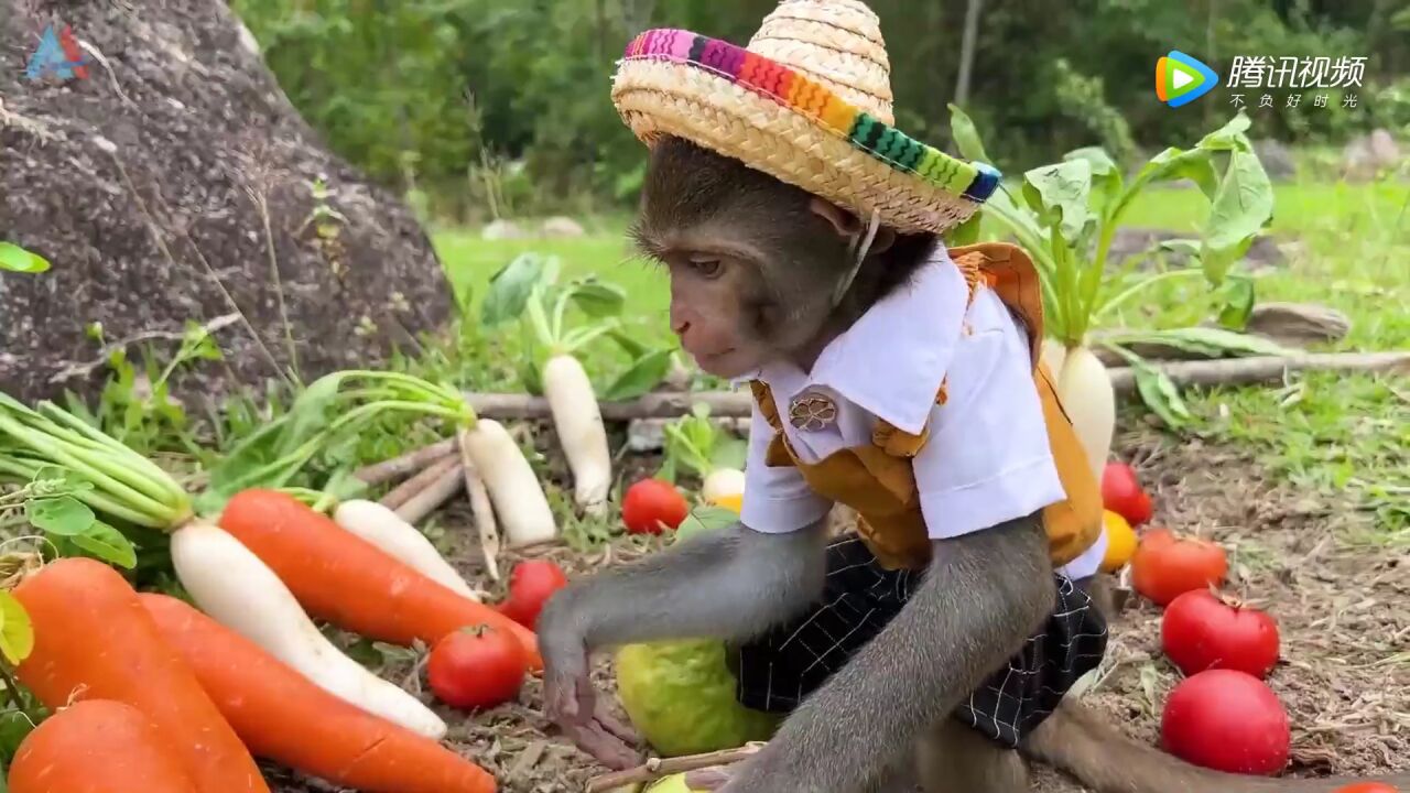  1080P 