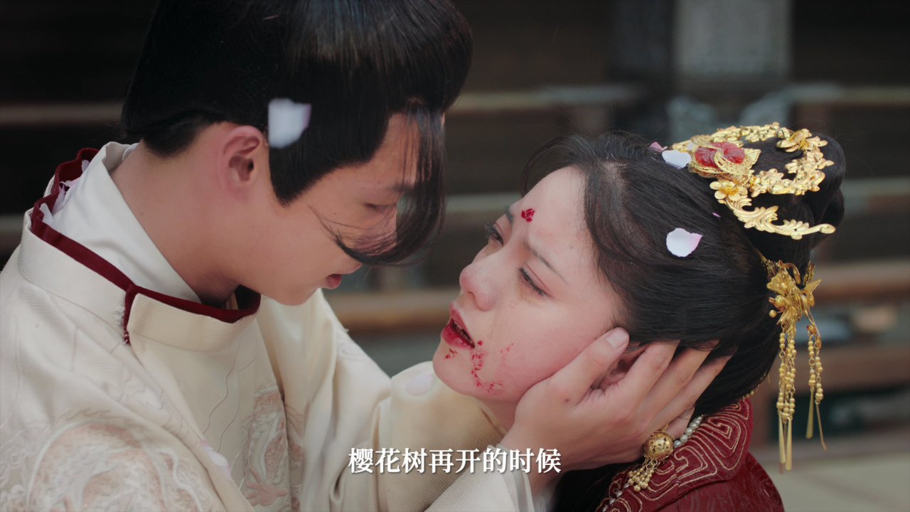 进击的王妃 24集