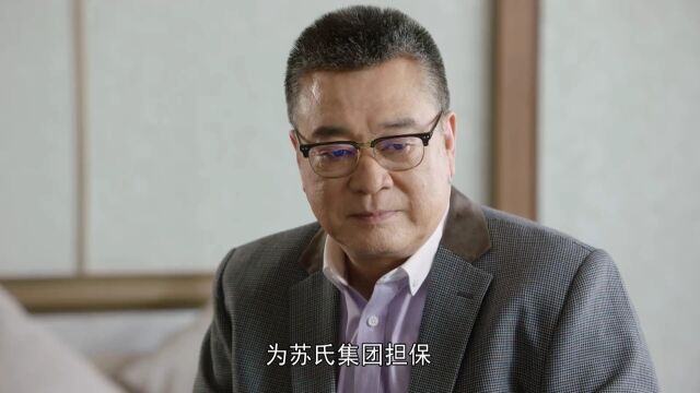 男子冰释前嫌,重回苏氏集团帮其产业转型