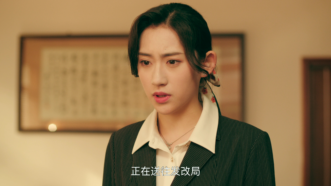 重返1993第二季 9集