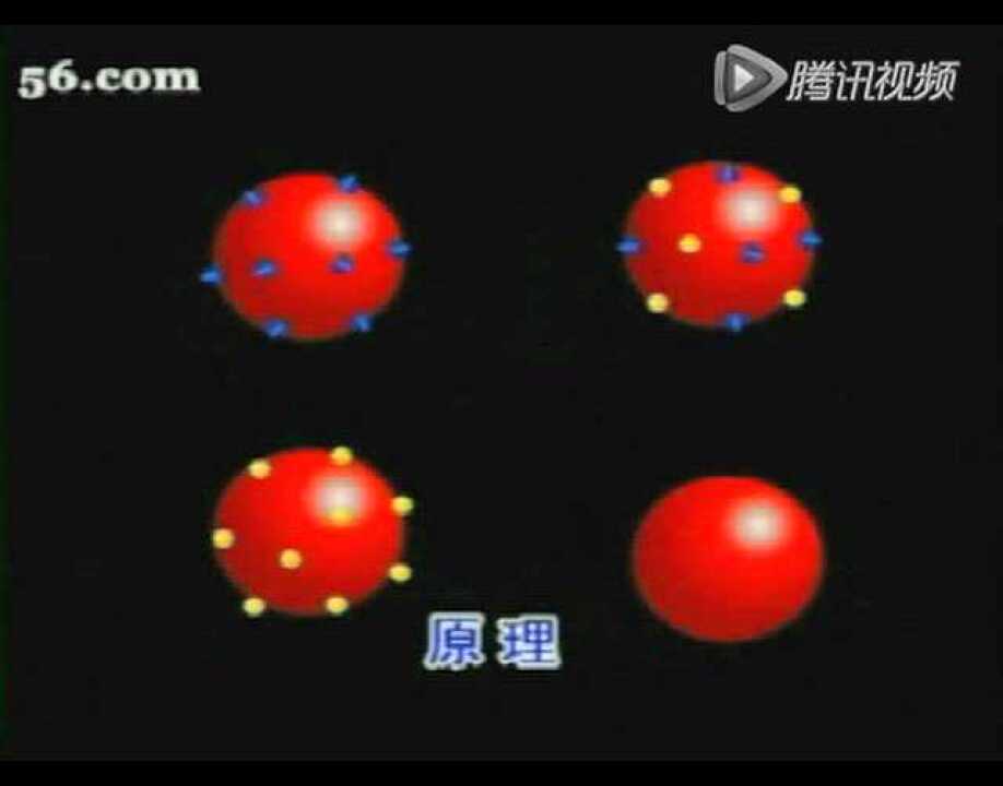 凝集反应（血型鉴定）_高清1080P在线观看平台_腾讯视频