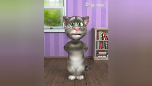视频: 猫猫唱歌