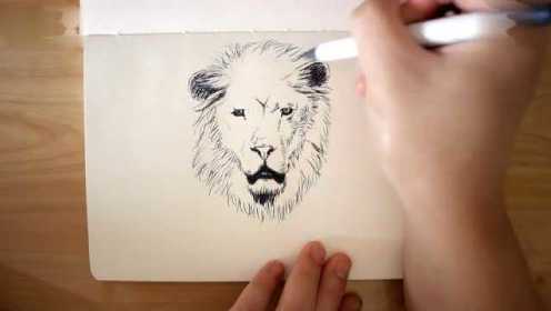 钢笔画狮子王