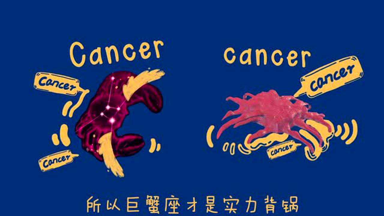 真相大白话 11集