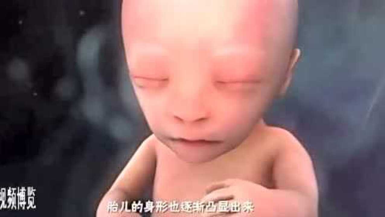 十月怀胎胎儿在孕妇妈妈体内是如何吸收营养的_腾讯视频