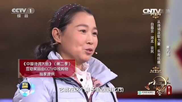 南和农妇白茹云中国诗词大会现场