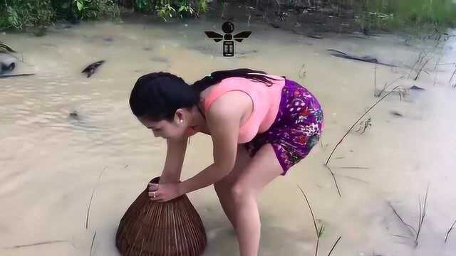 越南传统水田抓鱼还是个长腿美女