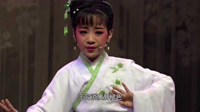 越剧双玉蝉菱花镜陈可心