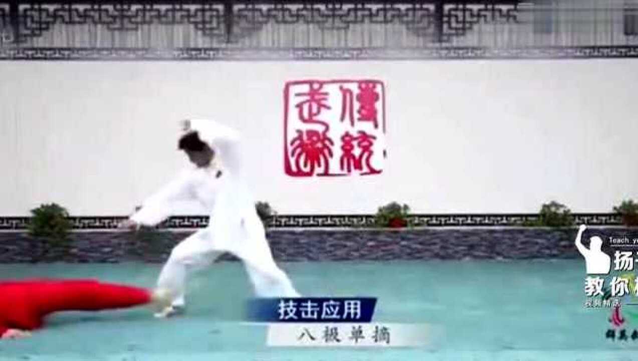 传统武术各个拳种杀招，打两三个没问题！_高清1080P在线观看平台_腾讯视频